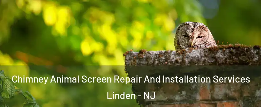  Chimney Animal Screen Repair And Installation Services Linden - NJ