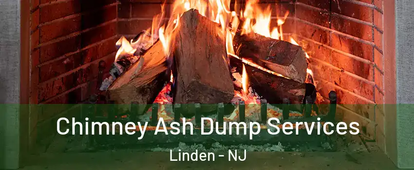  Chimney Ash Dump Services Linden - NJ