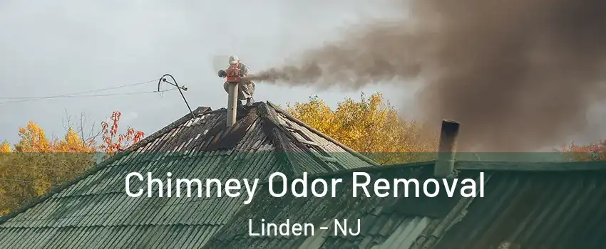  Chimney Odor Removal Linden - NJ