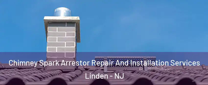  Chimney Spark Arrestor Repair And Installation Services Linden - NJ