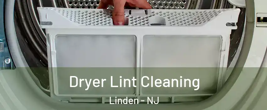  Dryer Lint Cleaning Linden - NJ