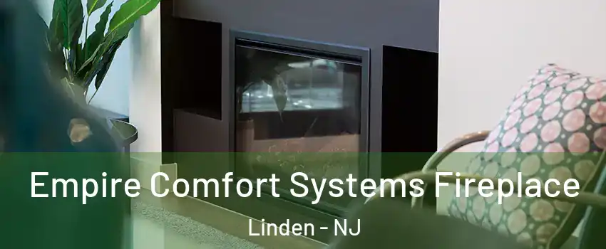  Empire Comfort Systems Fireplace Linden - NJ