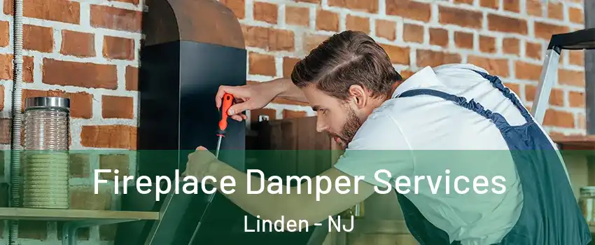  Fireplace Damper Services Linden - NJ