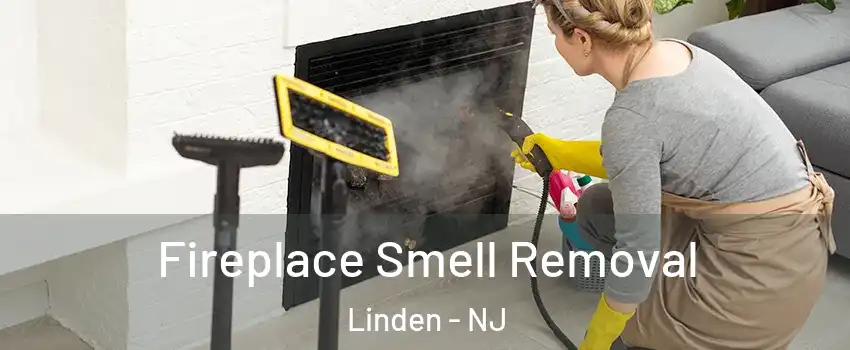  Fireplace Smell Removal Linden - NJ