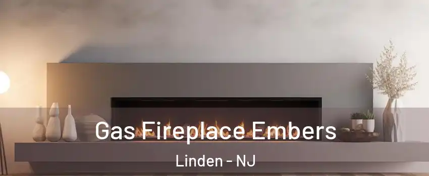  Gas Fireplace Embers Linden - NJ