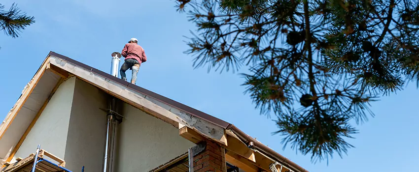 Birds Removal Contractors from Chimney in Linden, NJ