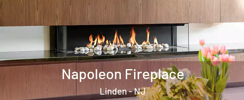  Napoleon Fireplace Linden - NJ