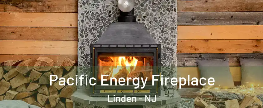  Pacific Energy Fireplace Linden - NJ